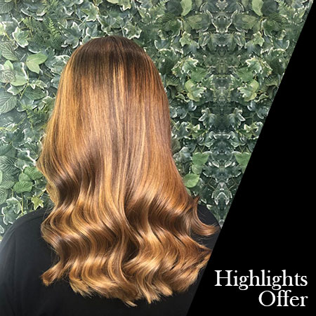 Highlights Offer Highlights Offer