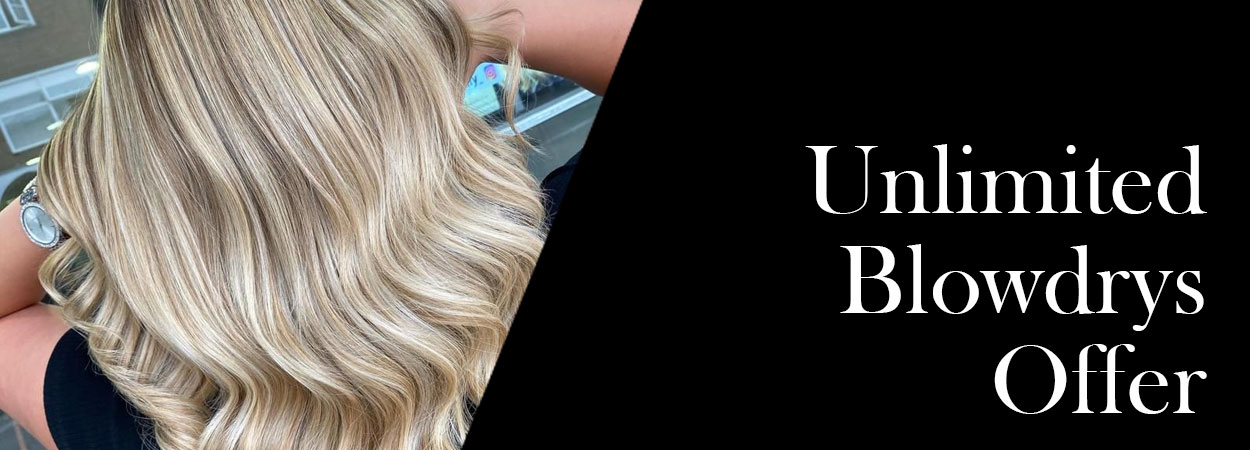 Unlimited Blowdrys Offer banner Unlimited Blowdrys Offer banner